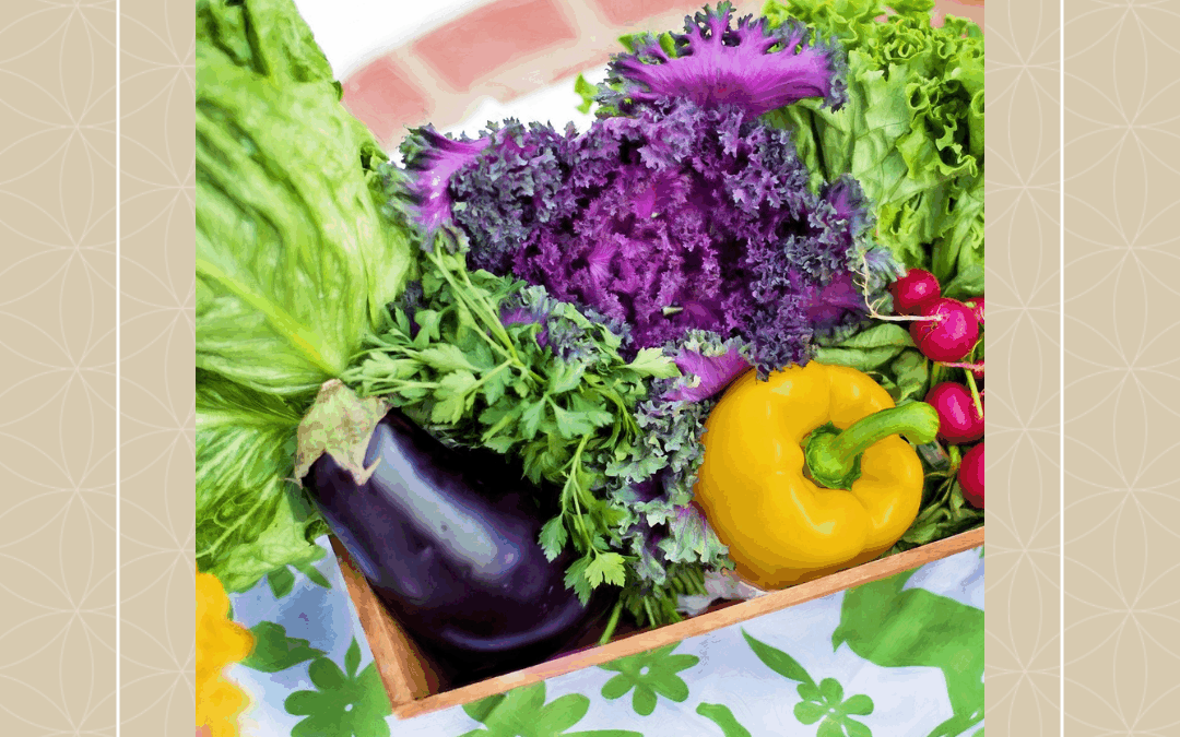 Psycho-nutrition : quand l’alimentation nourrit le mental